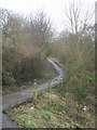 Trans Pennine Trail - Rooks Nest Road