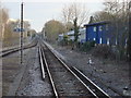 Railway line to the south of Hampton Court station