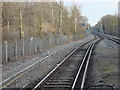 Railway line to the south of Hampton Court station