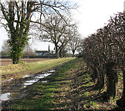 TG2822 : Farm track to the B1150 (North Walsham Road) by Evelyn Simak