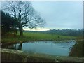 River Cleddau from St Catherine