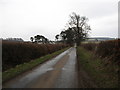 Minor road passing through rich farmlands.