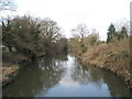 River Wey flowing northwards as seen from Wisley Lane