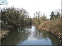 TQ0659 : River Wey flowing northwards as seen from Wisley Lane by Basher Eyre