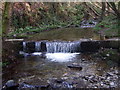 Above the waterfall, Cwm Fforest