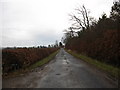 Country road passing Newbigging Bush Farm