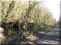 Structure on Celtic Trail, near Caerphilly