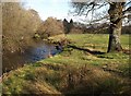 River Teign at Chudleigh Knighton