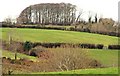 Listullyard fort near Banbridge (3)