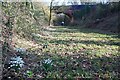 Brotheridge Green Nature Reserve