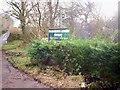 Pembrokeshire Lavender Nursery, Broomylake, Llanteg