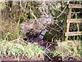 Stream, near Broomylake, Llanteg