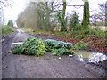 Flytip, Red Rice