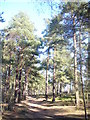 Footpath on Mare Hill