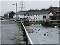 Forth and Clyde Canal