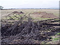 Field near Eagland Hill