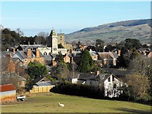 SJ2207 : Welshpool from Christ Church by Penny Mayes