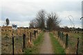 Bridleway 13 on Priest Hill