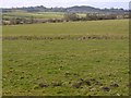 Pasture south of Heddon Birks