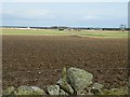 Cottages Near Little Haddo