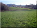 Pasture at Barn Farm