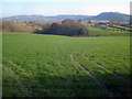 Farmland at Barn Farm