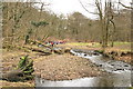 Fun in the River Brock