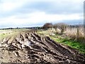 Bridleway, Milborne St Andrew