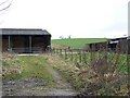 Bridleway to Tolpuddle