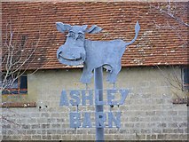 SY8195 : Laughing cow, Ashley Barn by Maigheach-gheal