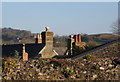 Collection of chimney pots