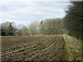 2009 : Ploughed field east of Bowden Hill