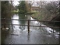 Stream at Edlesborough - View southwards