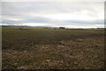 Farmland near Forfar