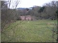 Old Patesians 5-a-side football/training pitch