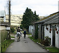 2009 : A horse ridden past Turnpike Farm