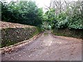 Stone flanked driveway