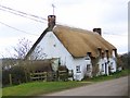 River Cottage, Affpuddle