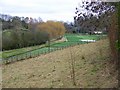 Watercress beds, Broad Chalke