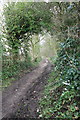 Bridleway to Preesall