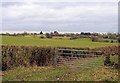 Fields at Hooe - from St Oswalds Church