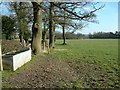 Farmland  by Ridgwardine Lane