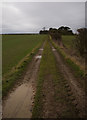 Footpath near Middleton on the Wolds