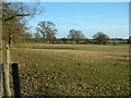 Farmland near Cobscot