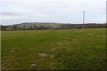 ST6110 : Farmland near Yetminster by Nigel Mykura