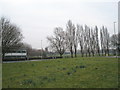 Looking from Northarbour Road over to King George V Playing Fields