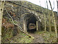 Footpath under the railway near Dunge Booth Lock