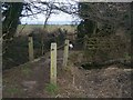 Footbridge over stream in hedge