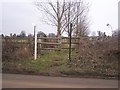 Footpath on Roughetts Road