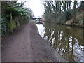 Macclesfield Canal at Marple